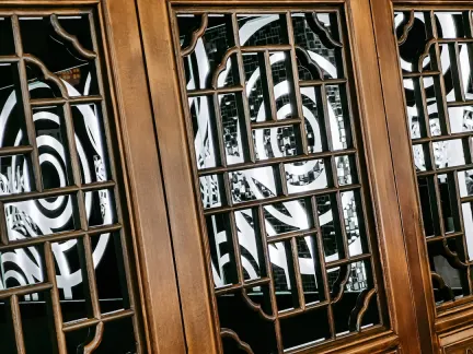 Casino Lion Wins Mobiele App